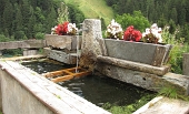 39 Fontana di Valrobà